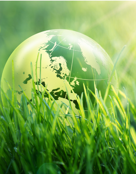 6688����-�й��ٷ���֤��������ֱ��ƽ̨